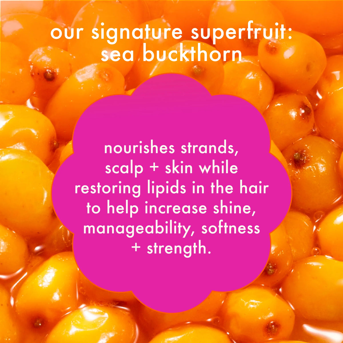 Forget Frizz Conditioner